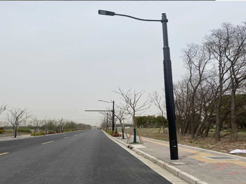上思县上海综合杆 太阳能路灯工程